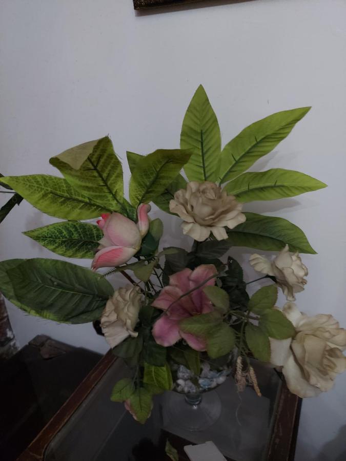 Al Moayad Apartment Near To Genina Mall, Abbas Al Akkad Κάιρο Εξωτερικό φωτογραφία